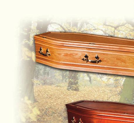 Warwick Warwick coffin with half