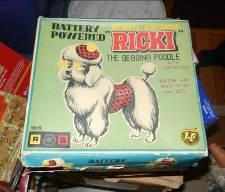 Ricki the Begging Poodle