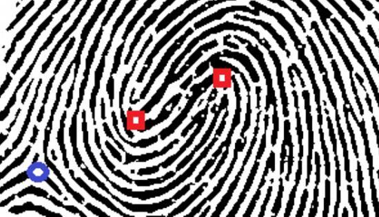 hiding information helps the automated fingerprint identification system in making the individual identification decision more reliable.
