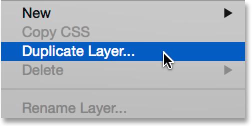 One way to duplicate the layer, and also name the new layer at the same time, is to go up to the Layer menu in the Menu Bar along the top of