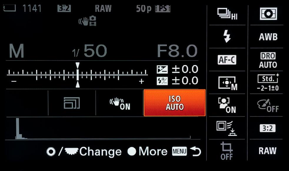 This means that the optimum shutter speed and aperture is set by the photographer and the ISO is adjusted automatically by the camera.