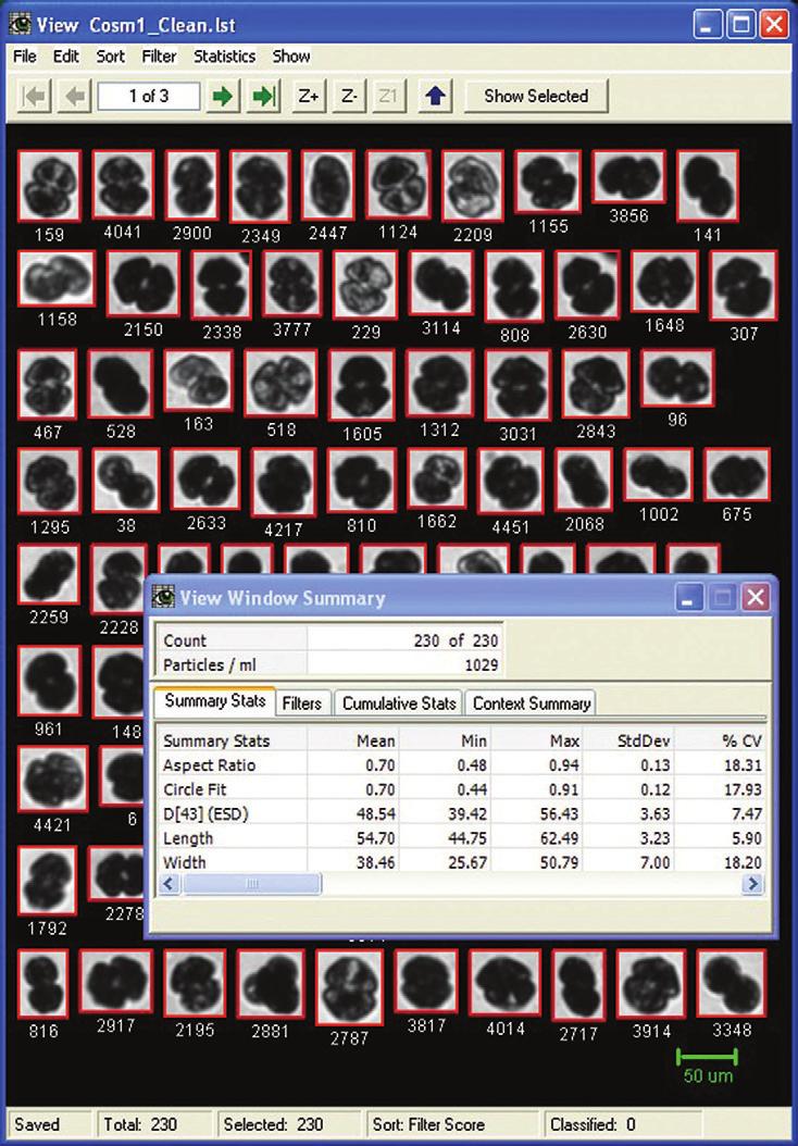 particles to determine how closely they match the target particles. Figure 9 shows the overall results for one of the FlowCAM runs made with the Cosmarium algae culture.