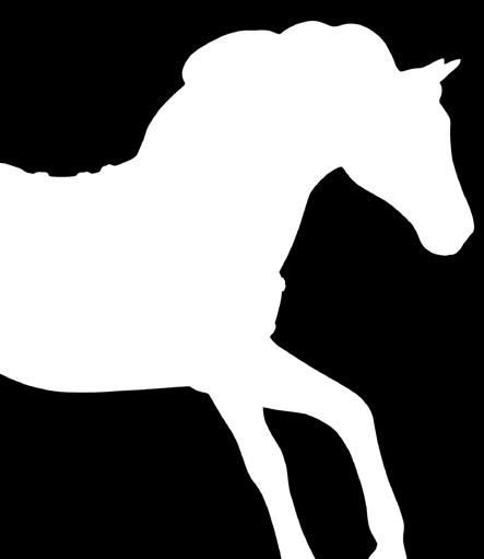 Painted Ponies has created a website dedicated