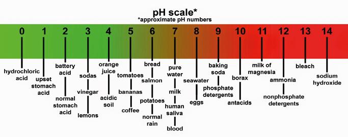 CHEMICALS ph Value ph Value Cleaning Product ph Values The ph value indicates whether an aqueous solution reacts in an acidic or alkaline manner.