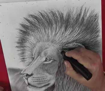 As you build up your drawing you will notice that your hand will become covered with graphite