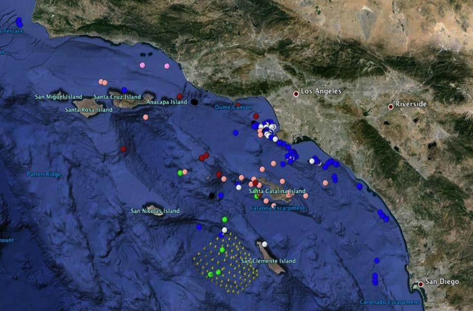 SOCAL-BRS Animals Tagged (2010-2014) Beaked Whale (6) Blue