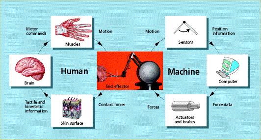 Humans and machines Human and machine