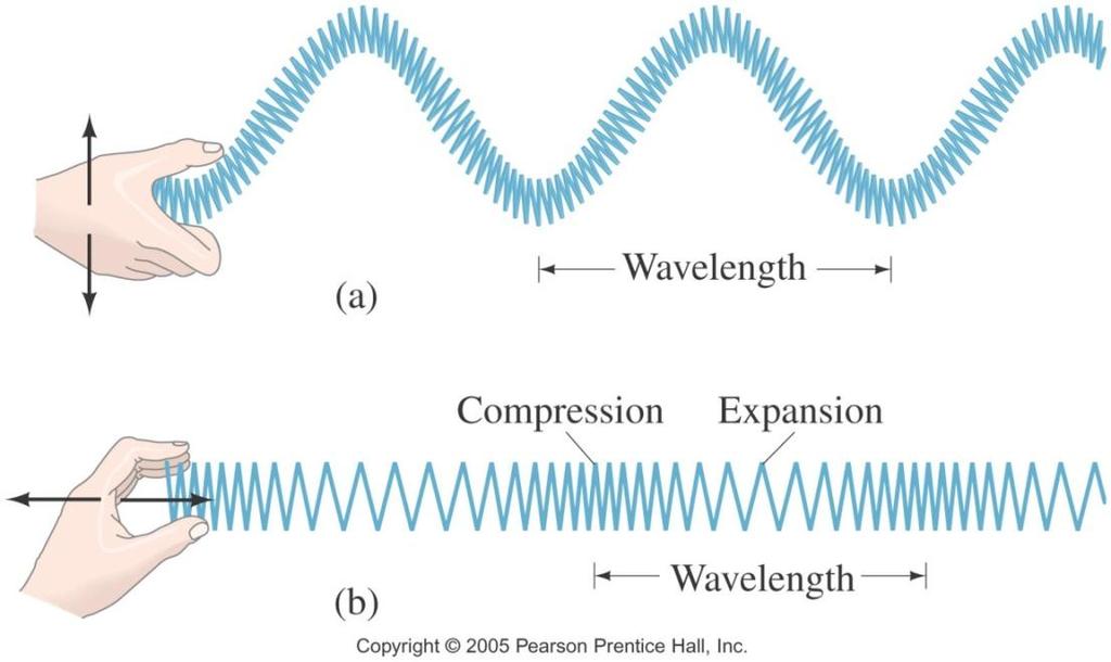 Mechanical Waves Two types based on vibration direction transverse longitudinal Transverse vibrating