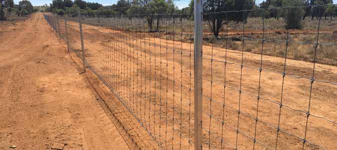 PLANNING SAMPLE FENCE DESIGN STOCKGRIP 16/180/15 The Waratah Stockgrip fence design may be used as an external boundary fence to prevent animals such as kangaroos, wild dogs and wallabies from