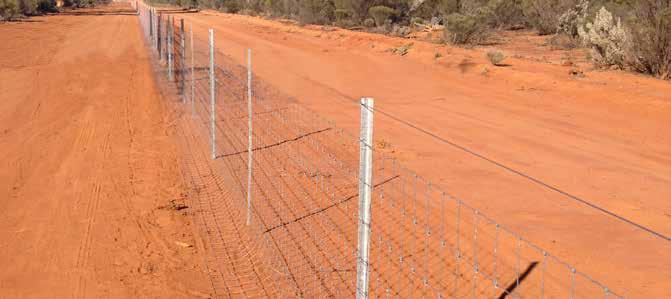 PLANNING SAMPLE FENCE DESIGN STOCKLOCK 10/110/15 The Waratah Stocklock and Stocktite skirt fence design may be used as an external boundary fence to prevent animals such as kangaroos and wild dogs