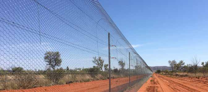 PLANNING SAMPLE FENCE DESIGN LONGLIFE BLUE NETTING WITH FLOPPY TOP The Waratah 3cm mesh spacing netting is commonly used to prevent smaller animals such as baby rabbits (kits) from protruding the