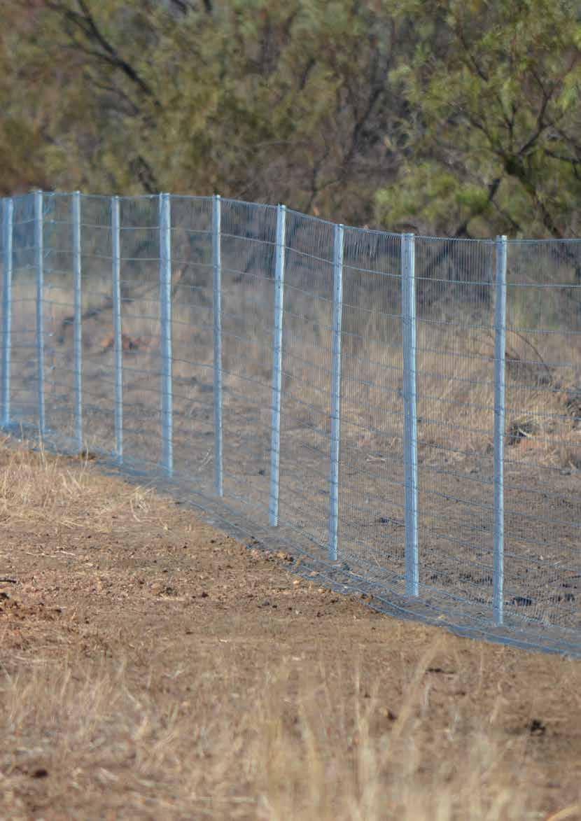 WIRE WARATAH FENCING SYSTEM POSTS ACCESSORIES POSTS The key to a fence s strength and longevity, Waratah posts are the superior quality backbone to a better performing fence.