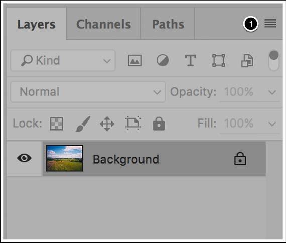 Panels Photoshop panels can be grouped together in tabs docked to either side of the Photoshop environment.