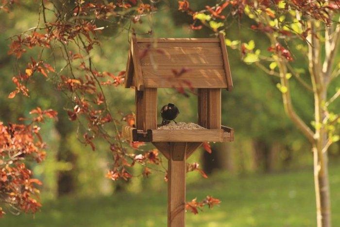 If you have squirrels in the neighbourhood, it's wise to invest in squirrel proof feeders so that you can be sure it s the birds that benefit from your restaurant.