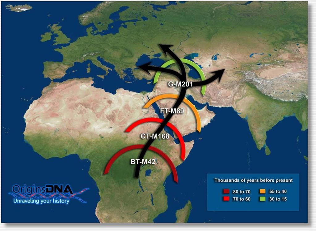 Your Distant Origins Haplogroup G is defined by SNP (pronounced snip) G-M201 and is a descendant of the supergroup FT.