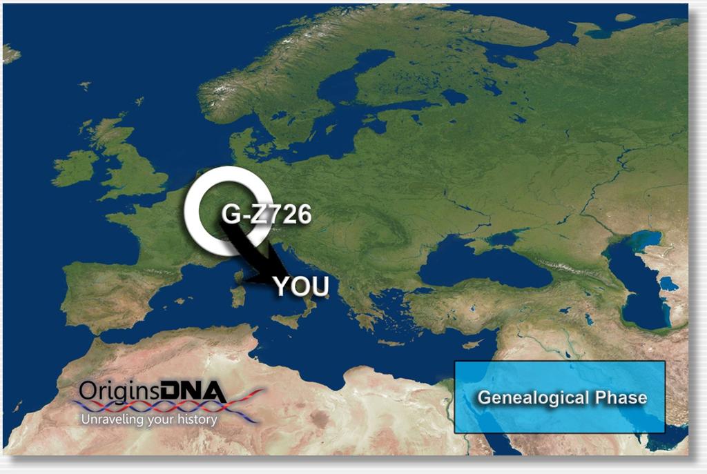 Genealogical Data You have tested positive for the Y-DNA SNP G-Z726. This SNP represents a single ancestor, the first with this mutation. All of his descendant now carry this change in their DNA.