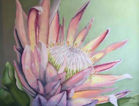 Delma Latimer Blush Year Completed: 2015 Please try and keep the image that you insert here to under 1MB Pastel 76cm 66cm White Sale Price: $600.