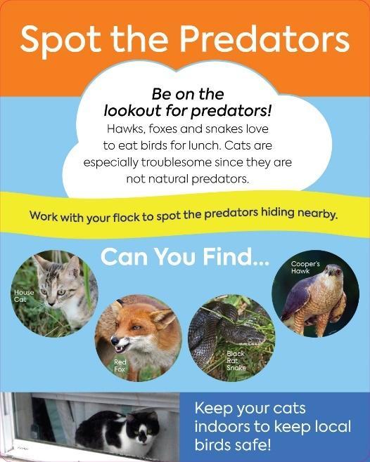 Guests are urged to keep their cats indoors since they are not natural predators and especially troublesome to birds. Spot the Predators Be on the lookout for predators!