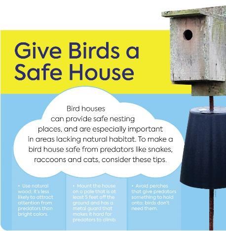 Avoid perches that give predators something to hold onto; birds don t need them.