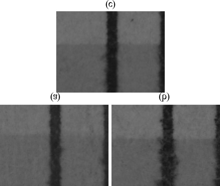 Conclusion Figure 13. (a) TopInkJet, (b) Carrot Ink, (c) Canon Differences in performance were highlighted on the samples printed on multipurpose paper.