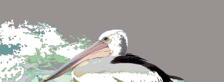 Name of Artist: Title of Artwork: Year Completed: TERRI CRACKNELL STORM PELICAN 2014 Image of
