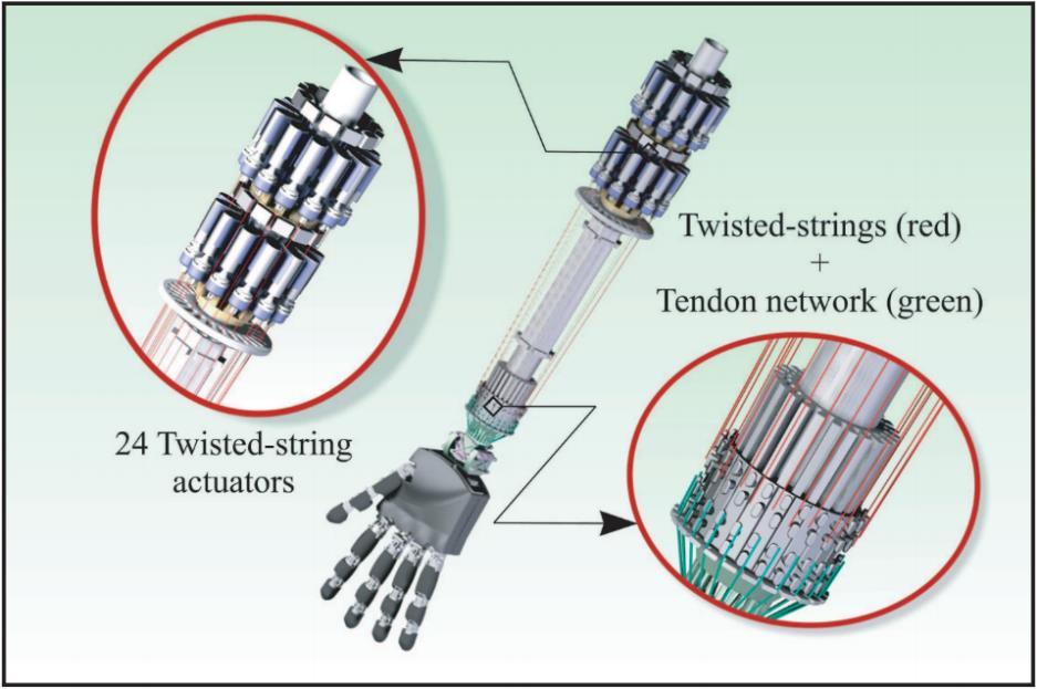 A Compact Twisted String Actuation System for Robotic Applications Figure 2.2 The DEXMART Hand virtual prototype, from the paper by Palli et. al.