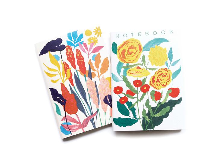 NEW! POCKET NOTEBOOKS Set of 2 soft cover notebooks.