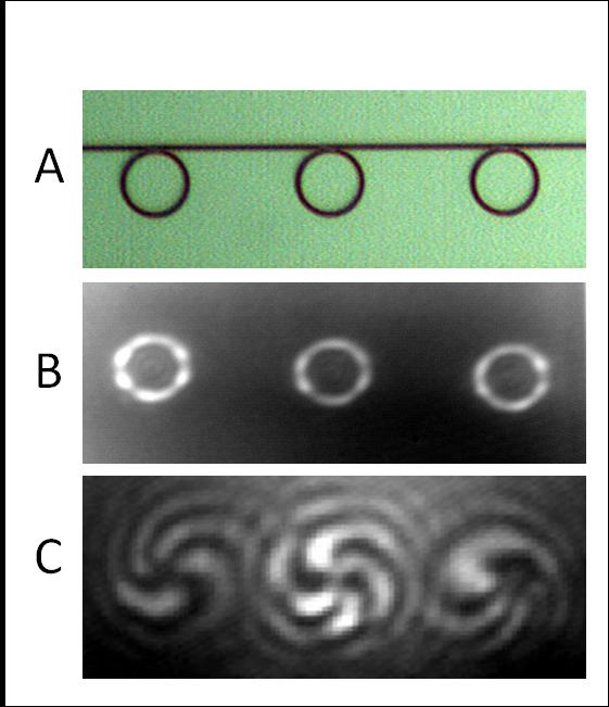Furthermore, to demonstrate the potential of photonic integration, we fabricated OAM emitter arrays which consist of up to four identical emitters coupled to the same access waveguide (Fig.4 A).