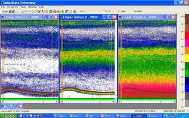 Echogram: Plankton layers 18 khz 38 khz 70 khz -Deeper waters (1000 m) -Different plankton layers