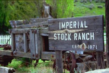 Imperial Stock Ranch and Imperial Yarn Imperial Stock Ranch (est.