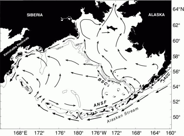 Strong, offshore winds can force ice cover away from the coast and combine with wave action to create an opening in the sea ice cover (Winsor and Biork, 2000).