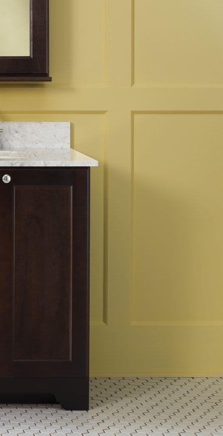cabinets and storage solutions for your bath.