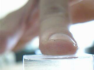 This will alter the hemodynamic state of the finger, resulting in various patterns of blood volume or perfusion [9].