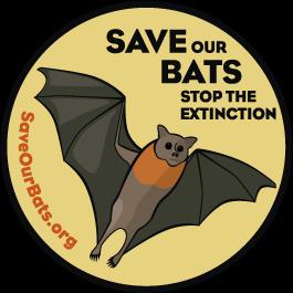 bats in seven species since 2006