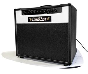 The Trem Cat is a Guitar Player magazine Editors Award winner and perhaps our most versatile single channel amp.