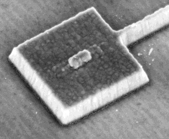 Electrically-injected III-V antenna-led 50nm interconnect nanoled