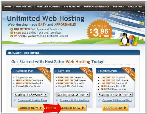 Find a Website Host Provider STEP 2: Select Plan I recommend Baby Plan because you
