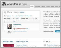 What is a WordPress Blog? WordPress is a content management software. It's a program that allows you to set up a website on the internet. Best part it's completely FREE!