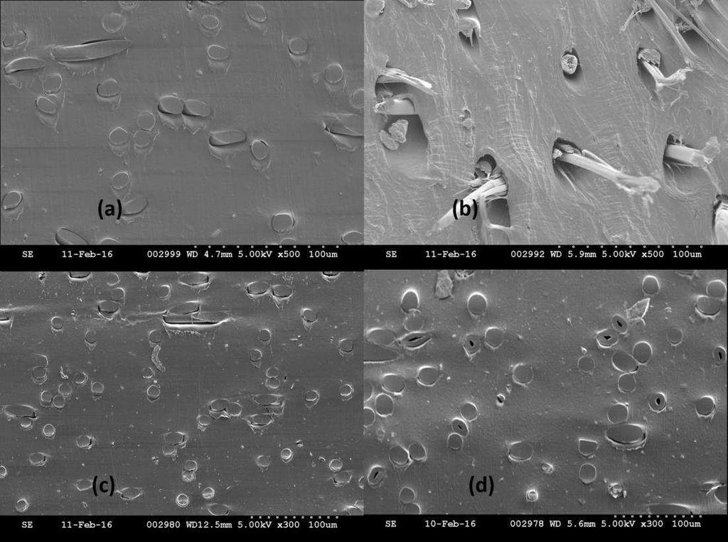 Figure 5. Scanning Electron Microscope (SEM) cross-sectional images of nonwoven-reinforced composites in machine direction (a) Lyocell (b) PPTA (c) PET (d) PA. 5 REFERENCES 1. Andersson, C.-H., et al.