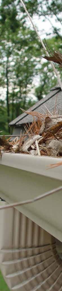g u t t e r protection The roof directs water into the gutters. Without free-flowing gutters and downspouts, water can collect and create problems.