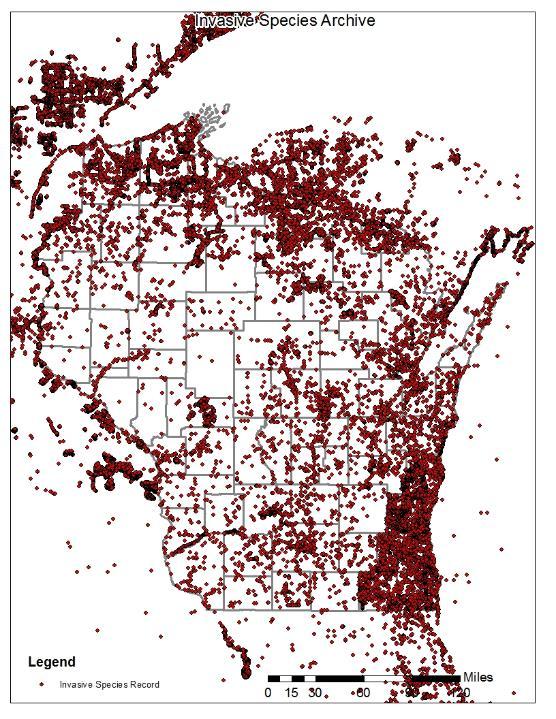Mapping tool: Invasive Species Archive Currently at 114,000 records Multiple species within counties or defined areas ALL