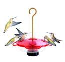 feeder Time needed: Weekend Project 1. Hang up a hummingbird feeder: With wings that beat up to 80 times per second, these little birds literally buzz about searching for nectar.