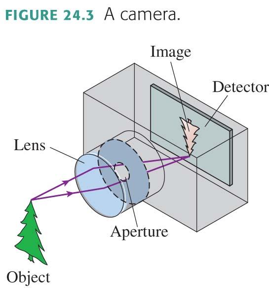 The Camera A camera takes a picture by using a lens to form a real, inverted image on a light-sensitive detector in a light-tight box.