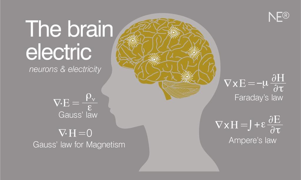 We aim to measure and interact with The electric brain