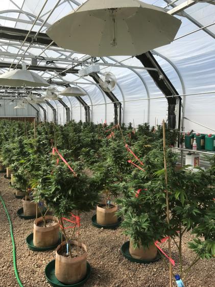 COLORADO PROPERTY 80-Acres Approved for Cannabis Cultivation or Manufacturing Facility located in Pueblo, Colorado 80-Acres that can be split into individual five (5) acre plots for multiple licensed