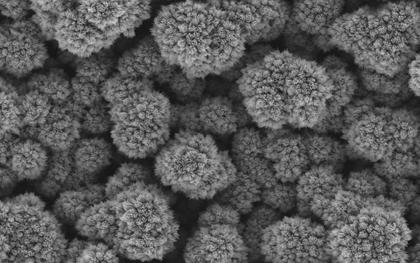 1 µm 100 nm Figure 5. SEM images of high balls of low aspect ratio tungsten oxide nanowires synthesized at high pressure conditions (25 Torr).