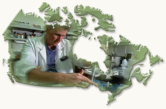 Canada Has The Science and Technology Canada has a comparative advantage in many areas of science and technology Highly educated workforce Legacy of scientific invention