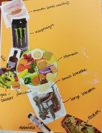 Collage with Science Pick a science topic of your choice (light, energy, digestive system, cells) and