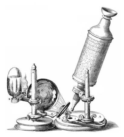 Micrographia documents observations through the