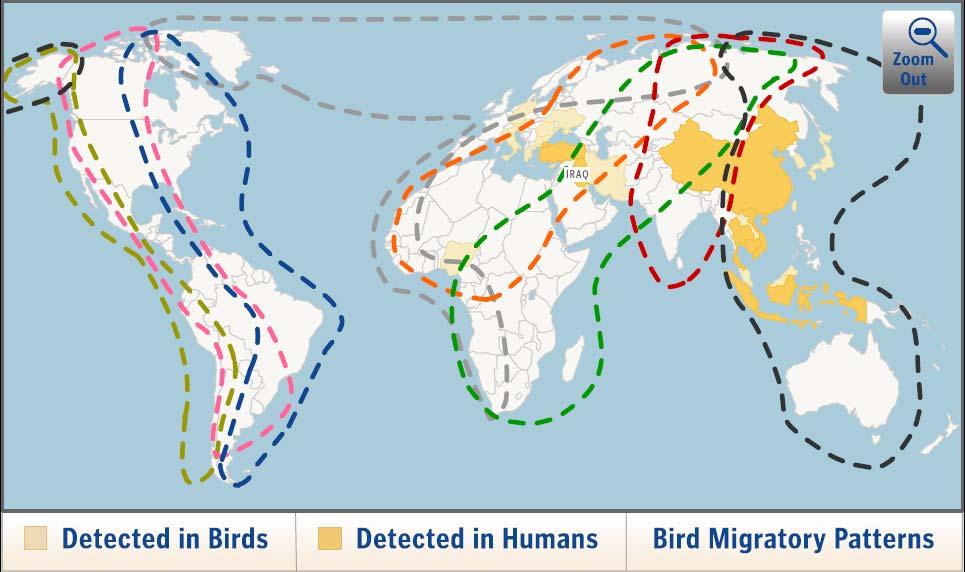 Avian Flu (H5N1) Now found in East Asia, India, Africa, the Middle East, Eastern Europe, and Western Europe Fewer than 200 human cases but mortality